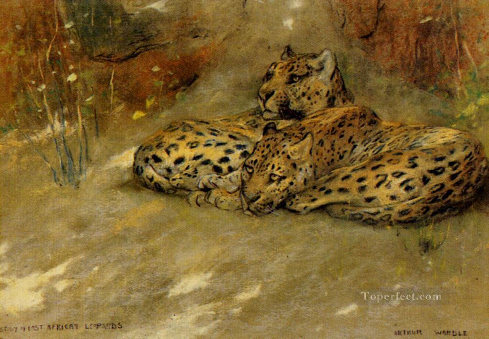 Study Of East African Leopards Arthur Wardle Oil Paintings